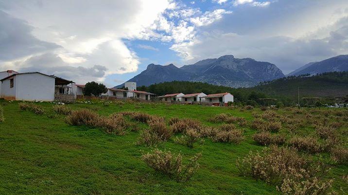 Ferma Jebala Ecolodge Kitane Ngoại thất bức ảnh