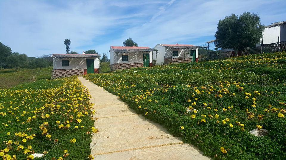 Ferma Jebala Ecolodge Kitane Ngoại thất bức ảnh