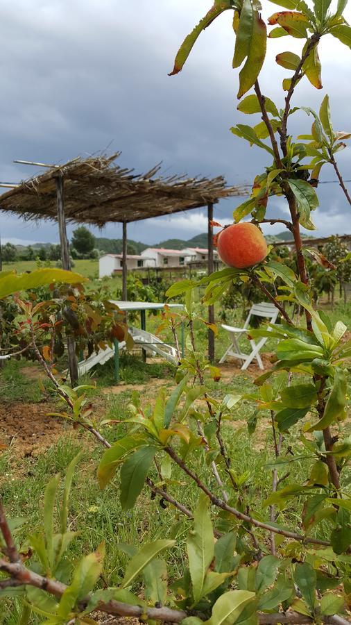 Ferma Jebala Ecolodge Kitane Ngoại thất bức ảnh