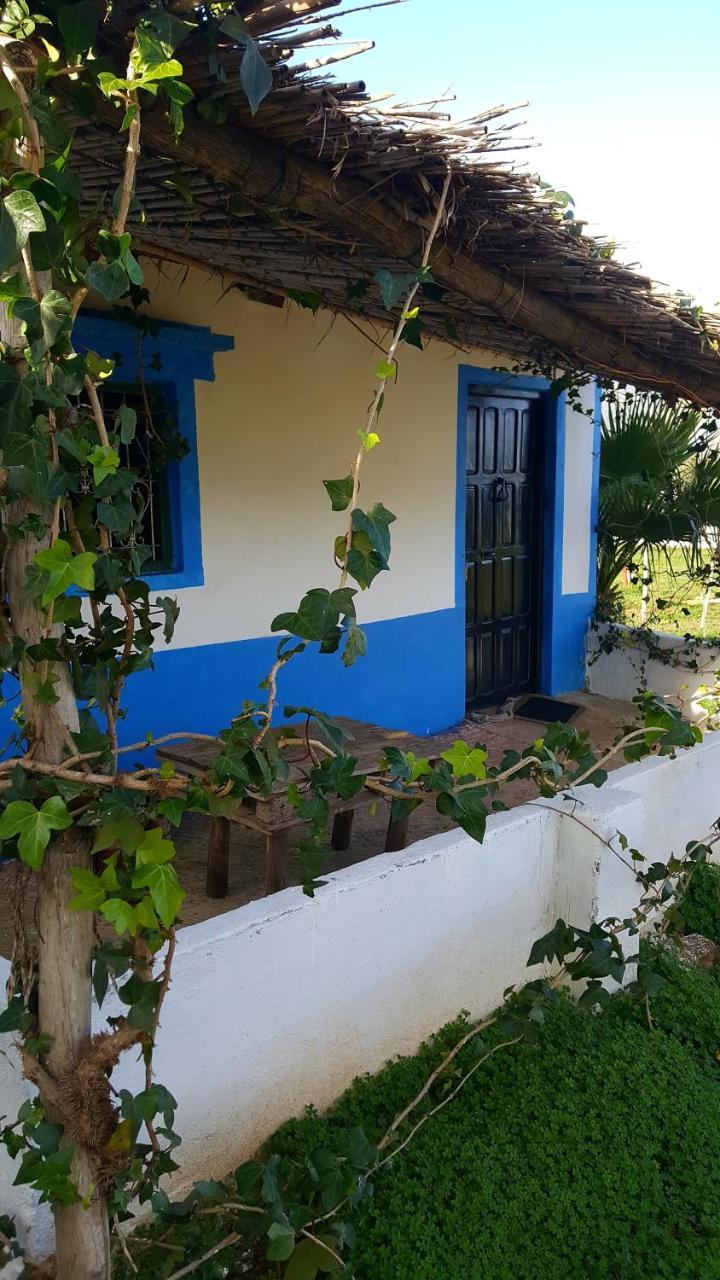 Ferma Jebala Ecolodge Kitane Ngoại thất bức ảnh